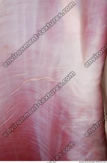 Photo Textures of RAW Beef Meat